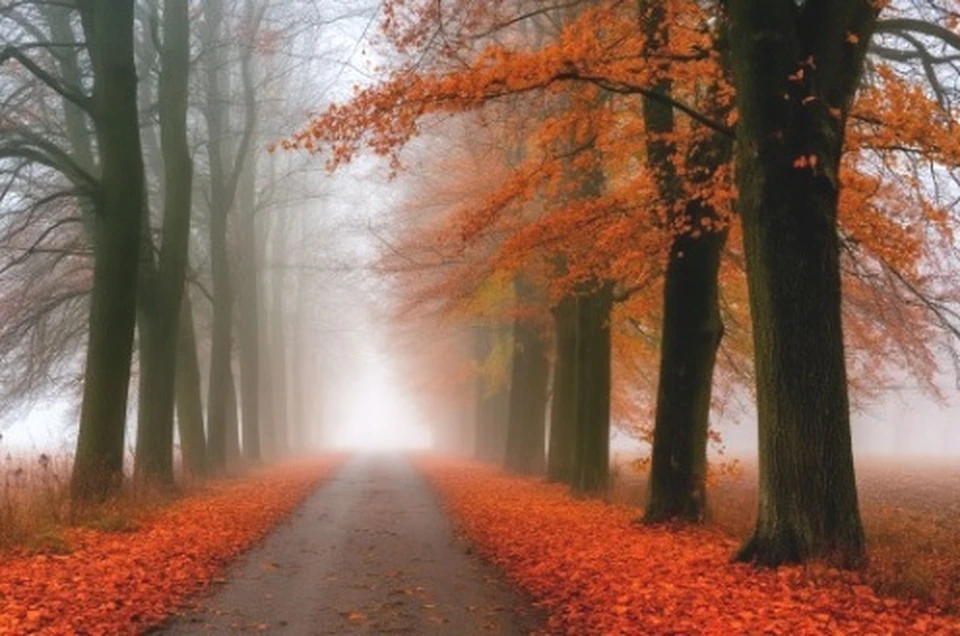 Метеорологи сообщили о туманах в Калужской области.