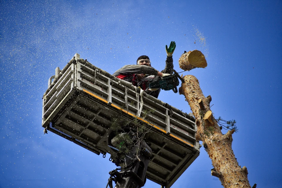 Фото: архив "КП".
