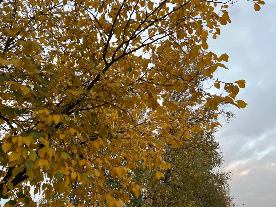 Воздух прогреется до 11 градусов