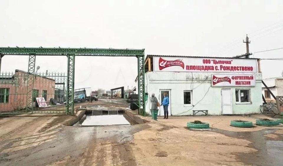 Участок продают за 7,5 млн рублей. Фото: Авито