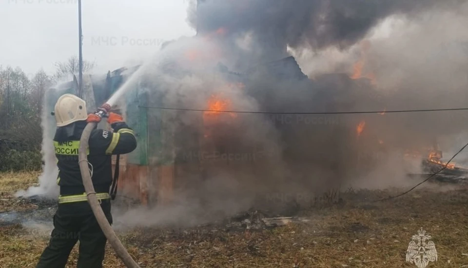 Фото: пресс-служба ГУ МЧС России по Орловской области