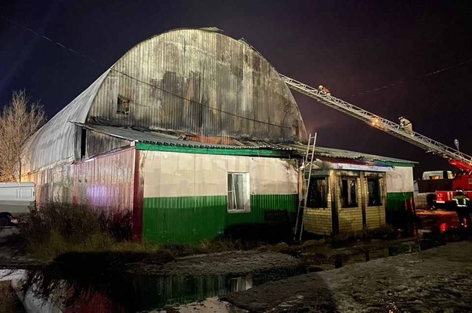 Фото: СУ СК по ХМАО-Югре