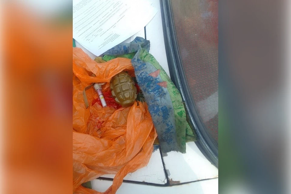 В нынешнем месяце полиция изъяла в регионе уже не одну боевую гранату. Фото: ГУ МВД России по ЗО