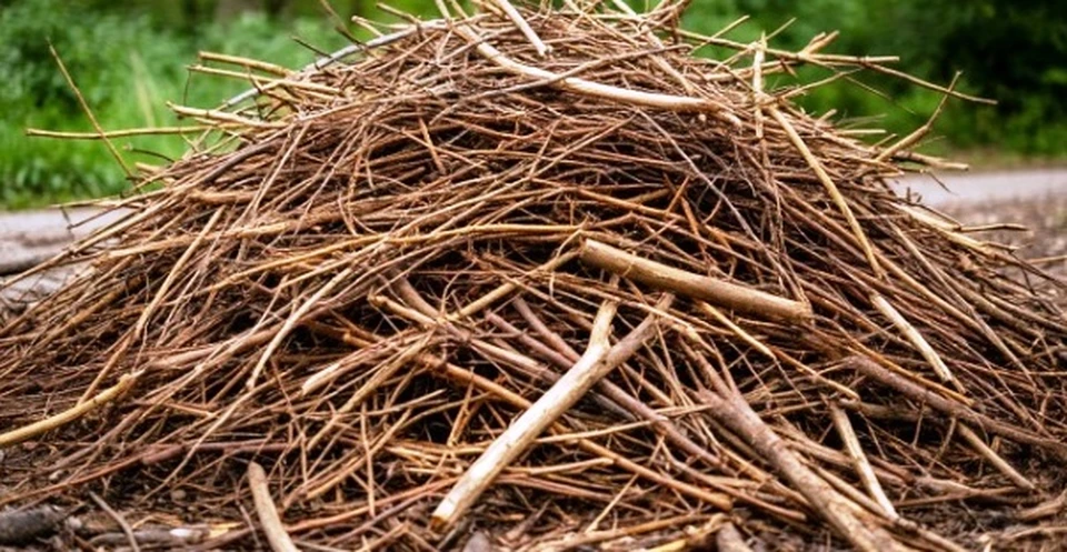 Калужанка сообщила о проблеме с вывозом веток после обрезки деревьев.