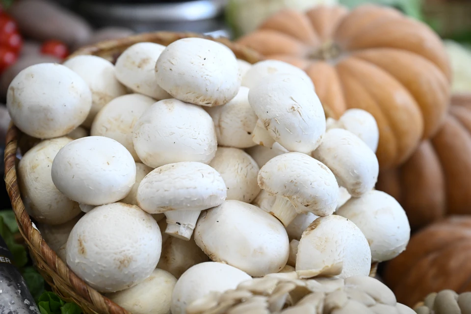 На Кубани стали выращивать больше грибов.