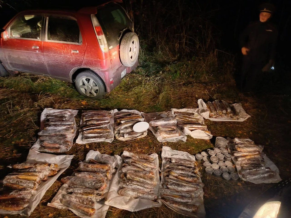 Фото: прокуратура Красноярского края