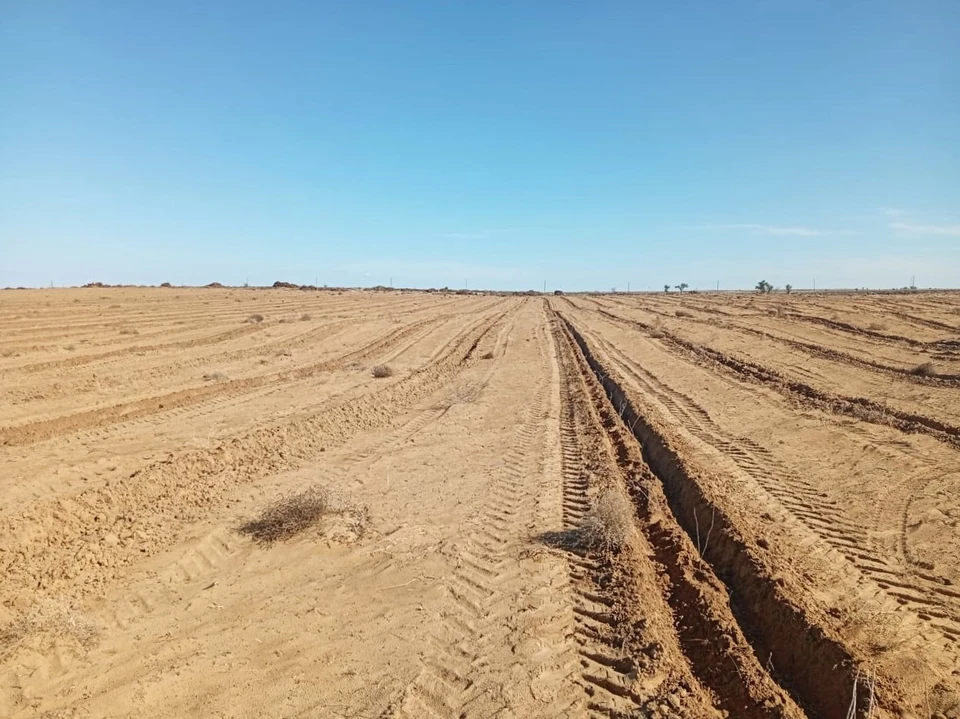 Фото: Служба природопользования и охраны окружающей среды АО