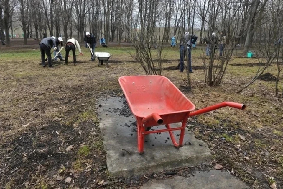 Минтруда уточнило, кого из белорусов не допустят к работе на субботнике 25 октября. Снимок носит иллюстративный характер.