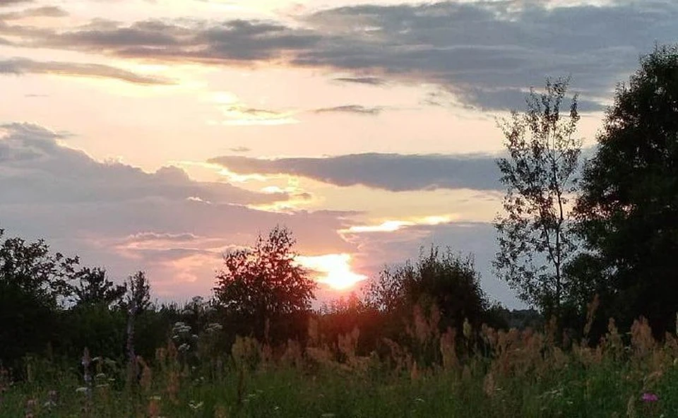 Силы ПВО уничтожили 11 вражеских дронов над Калужской областью