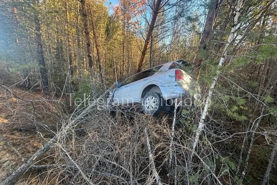 Фото: Госавтоинспекции ХМАО-Югры