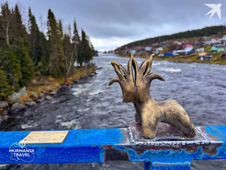 Поморская козуля - это древний символ счастья, любви, здоровья и удачи. Фото: АНО «Туристский информационный центр Мурманской области»