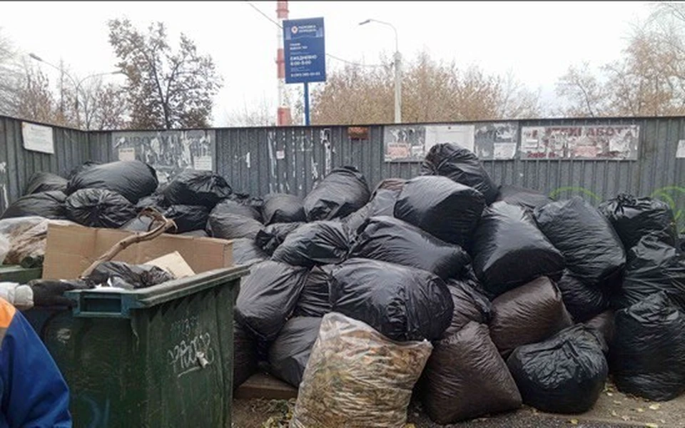 Фото: предоставлено ЦКС