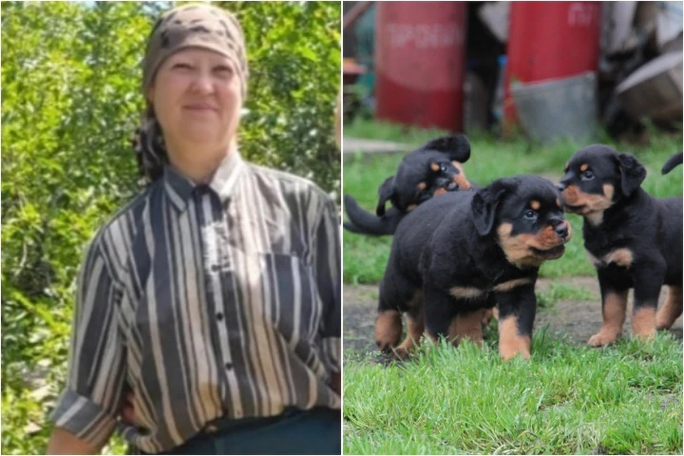 Антонина рискнула собой, чтобы спасти щенков. Фото: из архива героини публикации.