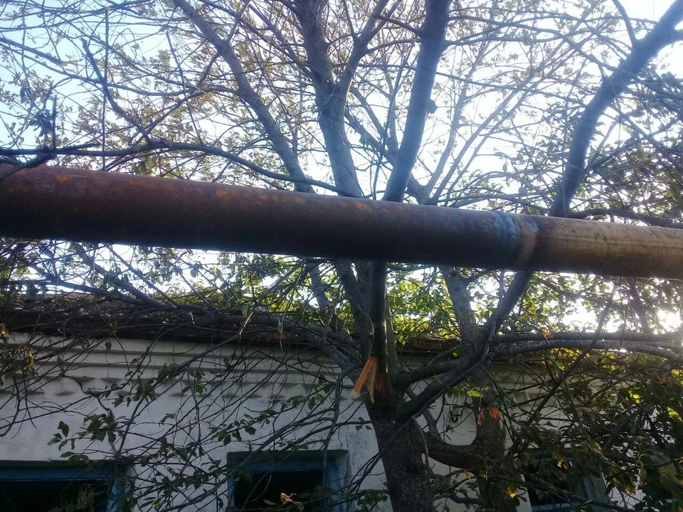 На хуторе Давыдкин вследствие атаки FPV-дрона повреждена газовая труба - в части населенного пункта временно отсутствует газоснабжение.