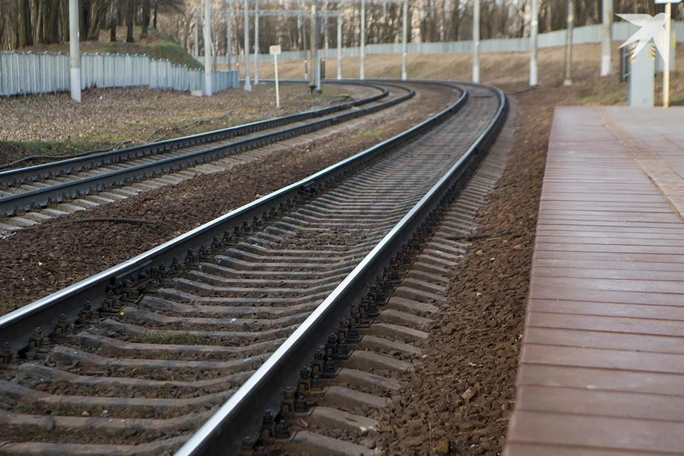 БЖД сказала, что поезд Брест – Минск был остановлен по причине неисправности. Снимок носит иллюстративный характер.