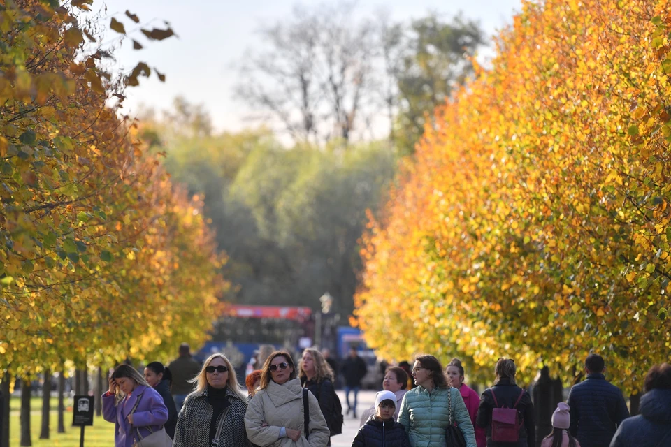 Синоптик Вильфанд заявил, что погода в Московском регионе в ноябре понизится