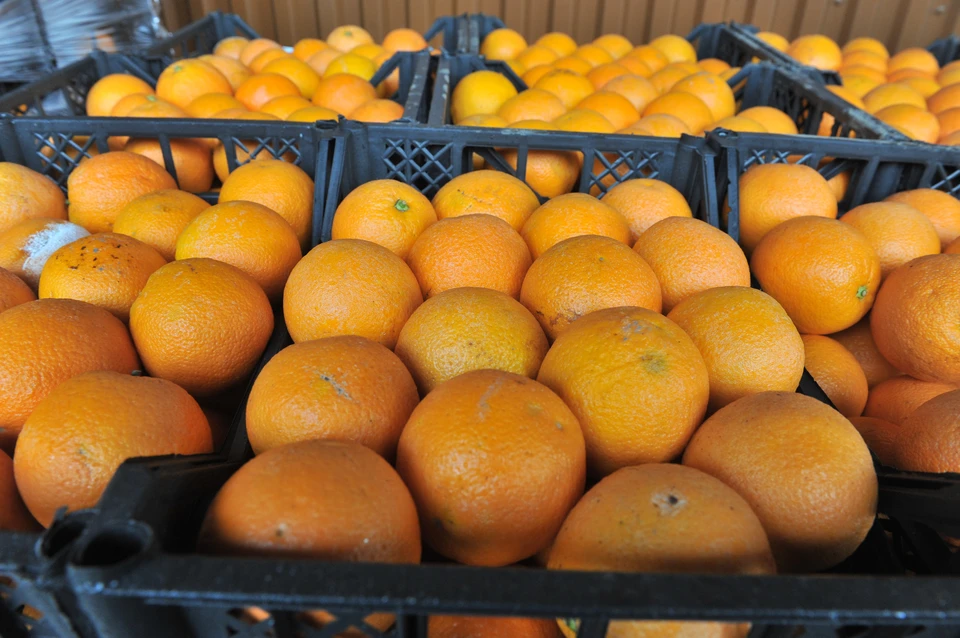 Стоматолог Семенова советует россиянам полоскать рот после употребления апельсинов