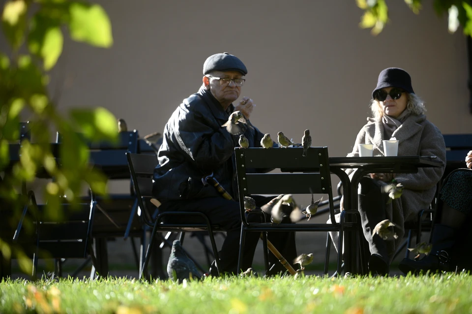 Погода на ноябрьских праздниках будет теплой.