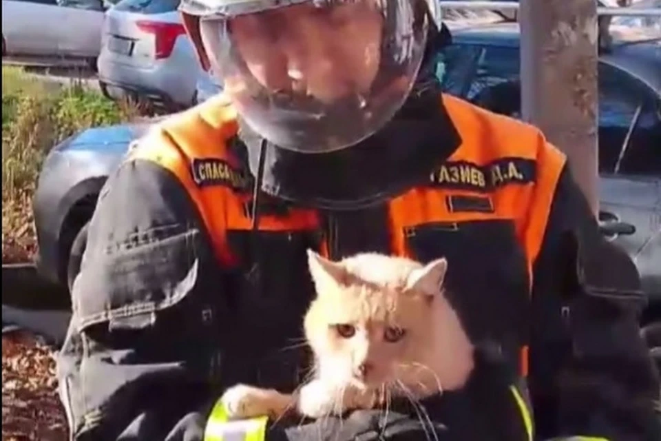 Кадр видео: УГЗ