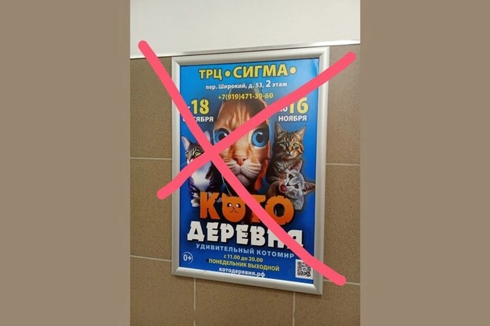 «Котодеревня» в ТРЦ «Сигма». Фото: vk.com/azj_izhevsk
