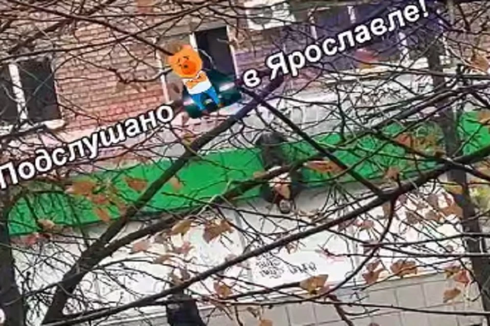 Бедолагу спасли горожане. Фото: телеграм-канал Подслушано в Ярославле.