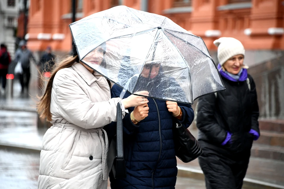 В понедельник атмосферный фронт принесет новую порцию дождей, за сутки может выпасть до 9 мм