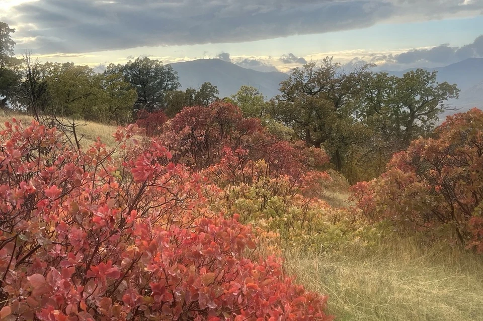 Фото: архив "КП"