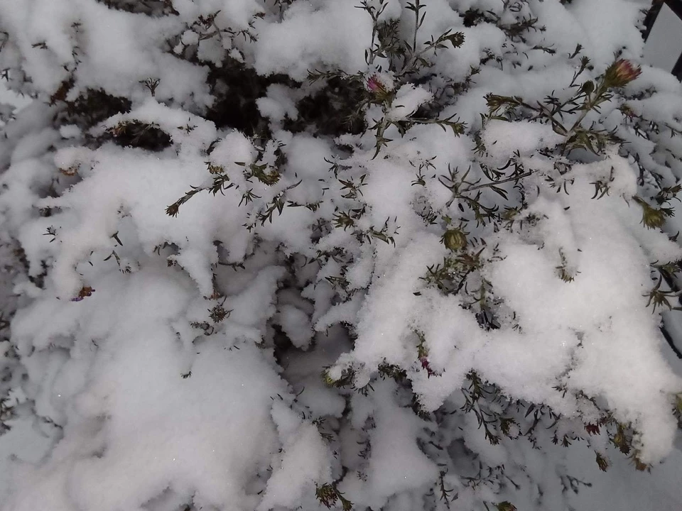 Погода на Ямале на 27 октября