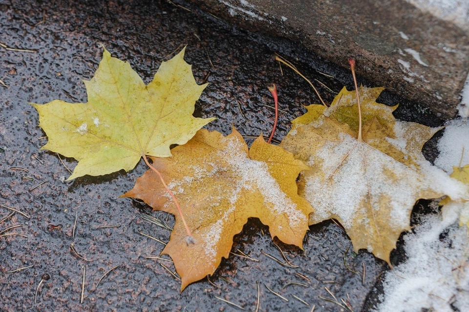 На начавшейся неделе в Иркутске потеплеет до +6 градусов