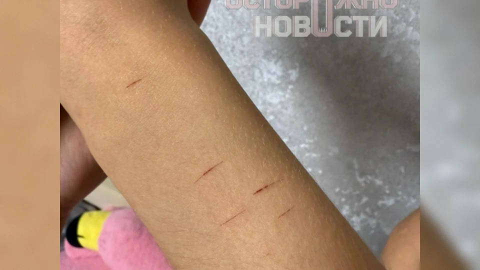 Фото: t.me/ostorozhno_novosti