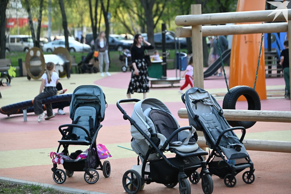 Северяне могут до 15 декабря подать заявку на реализацию важных для общества проектов.