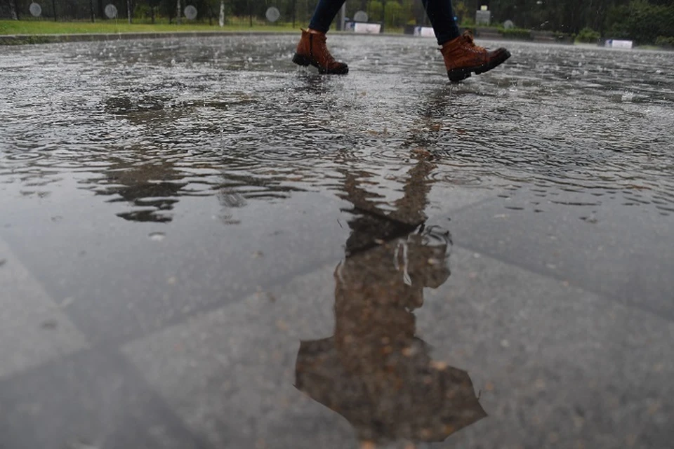 Октябрь попрощается с ярославцами дождями.
