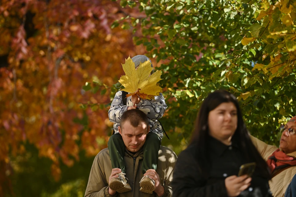 В ближайшую неделю на Дону может потеплеть до +19 градусов.