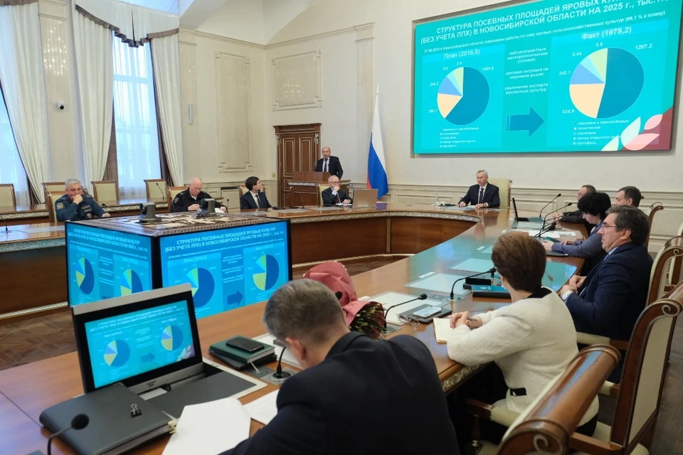 Урожай в Новосибирской области оказался выше, чем в прошлом году. Фото: Правительство Новосибирской области