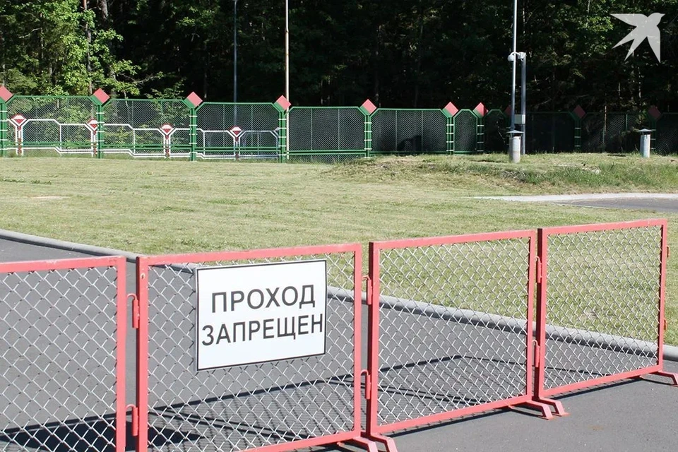 Премьер Литвы сказала про исключения в случае закрытия границы с Беларусью. Снимок носит иллюстративный характер.