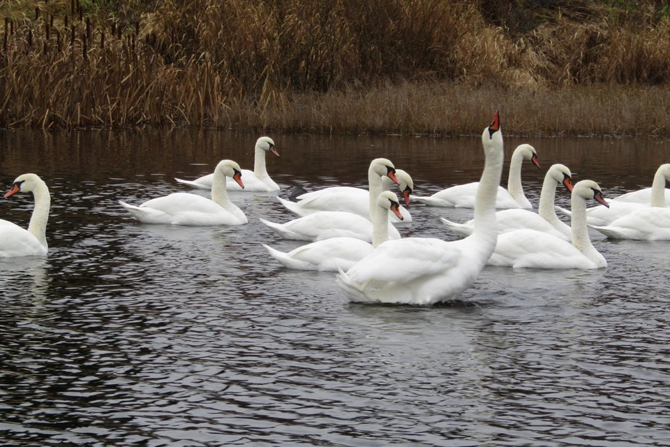 Фото группа «Экологическая тропа «В поисках чуда!» ВКонтакте