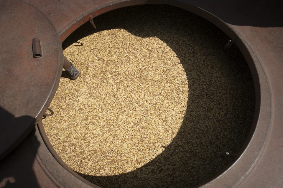 Некачественные семена обнаружили в Нижегородской области