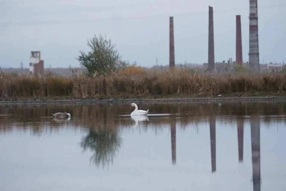 Информацию передали предприятиям