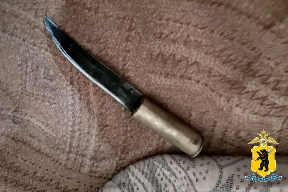 Одного ножа дебоширу не хватило. Фото: УМВД РФ по Ярославской области.