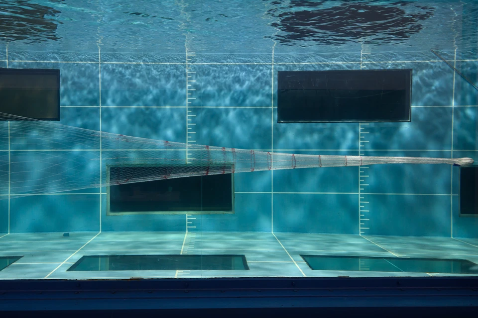 На протяжении пяти лет в гидролотке «Фишеринг Сервис» представители российских рыбодобывающих компаний наблюдают, изучают работу трала под водой.