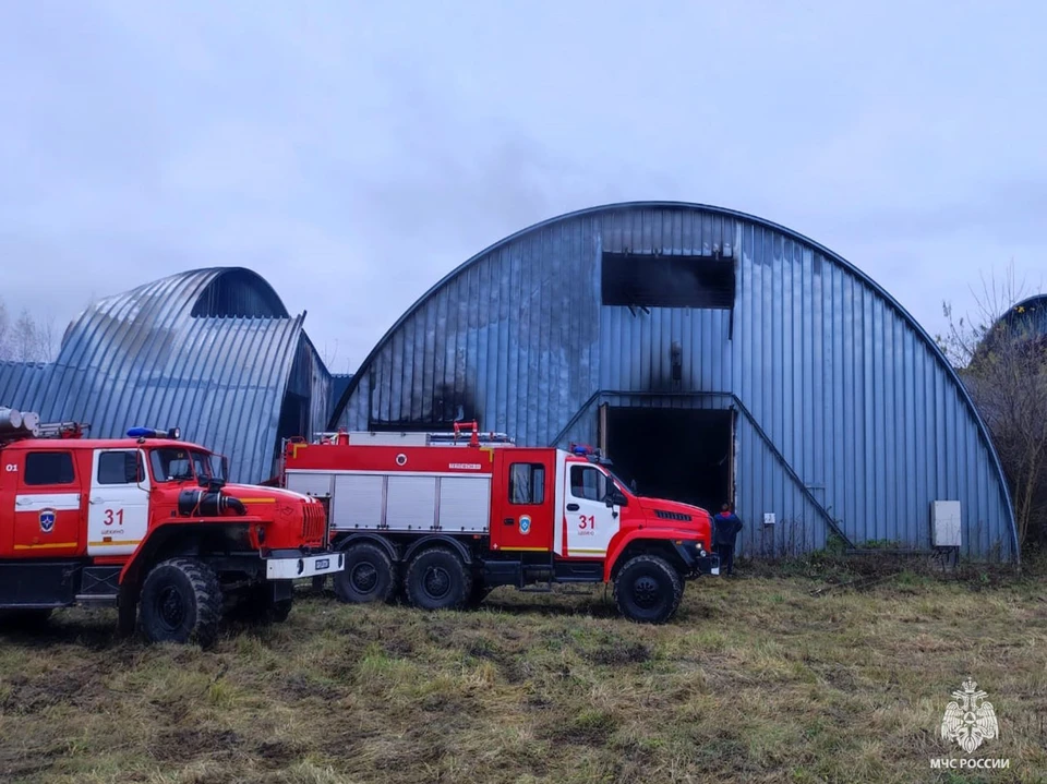За прошедшие сутки в Тульской области ликвидированы пять пожаров и последствия шести ДТП