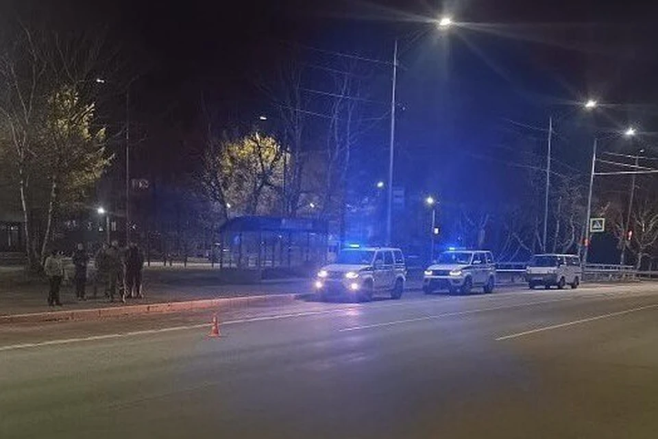 Сотрудники Госавтоинспекции нашли водителя, сбившего девочку. Фото: https://t.me/mvd41