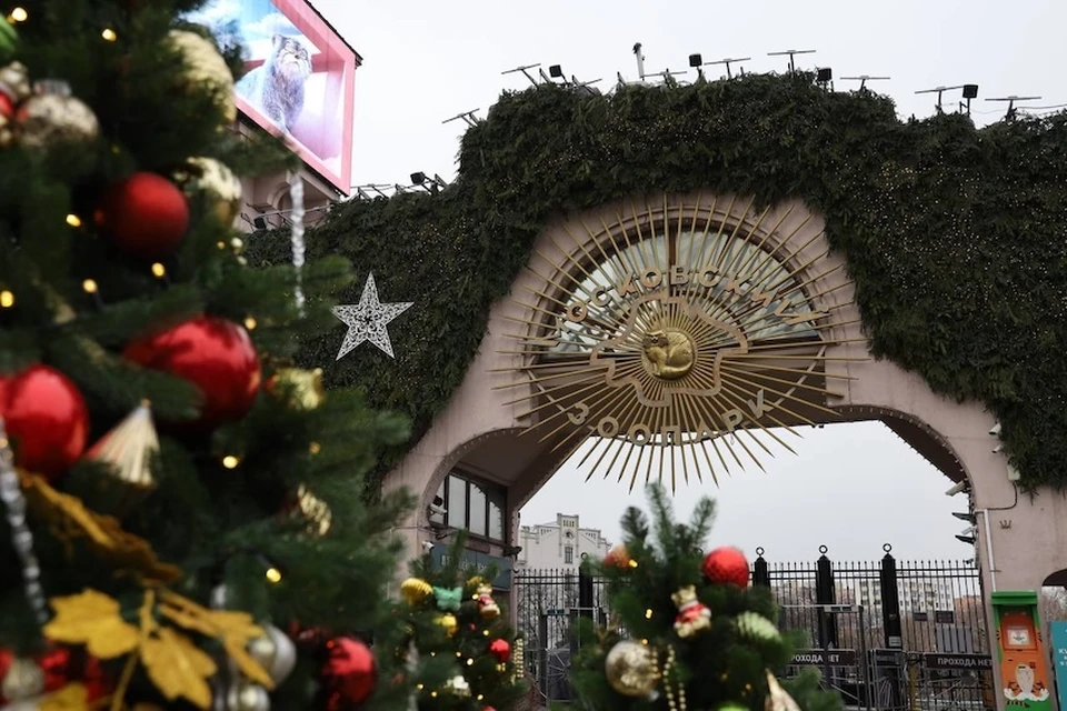 Животные Московского зоопарка уже во всю готовятся к холодам. Фото: пресс-служба Московского зоопарка