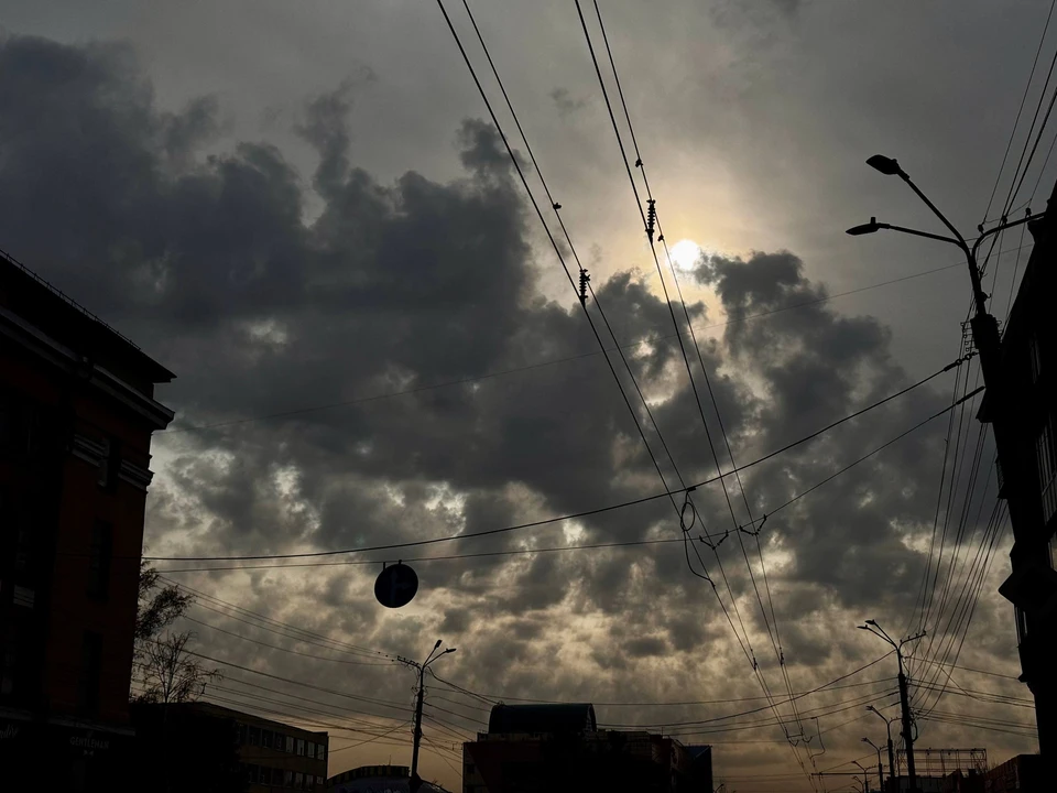 Фото: Валерия Коршунова