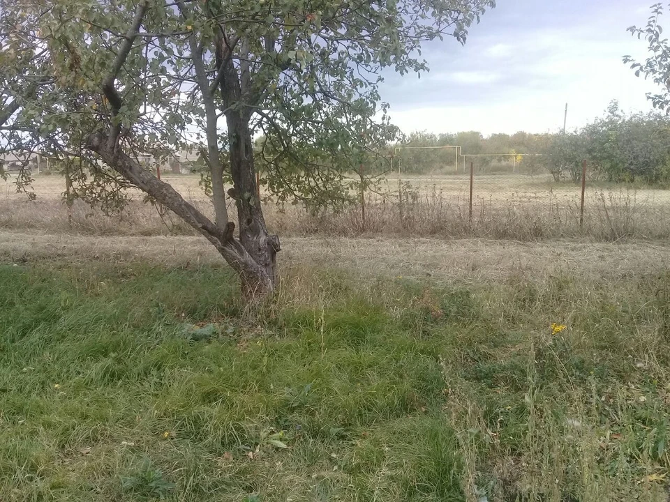 Ночью в отдельных муниципалитетах, днем повсеместно пройдут небольшие дожди.