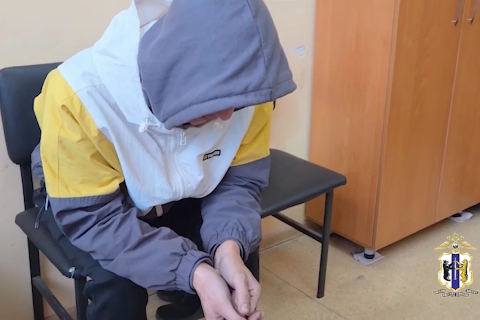 Хабаровчанина вычислили в том числе по камерам видеонаблюдения. Фото: скриншот с видео УМВД РФ по городу Хабаровску