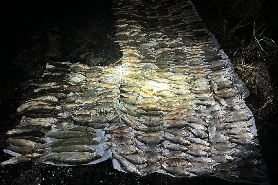 Жителю Кубани дали условный срок за незаконную рыбалку Фото: пограничное УФСБ России по Краснодарскому краю