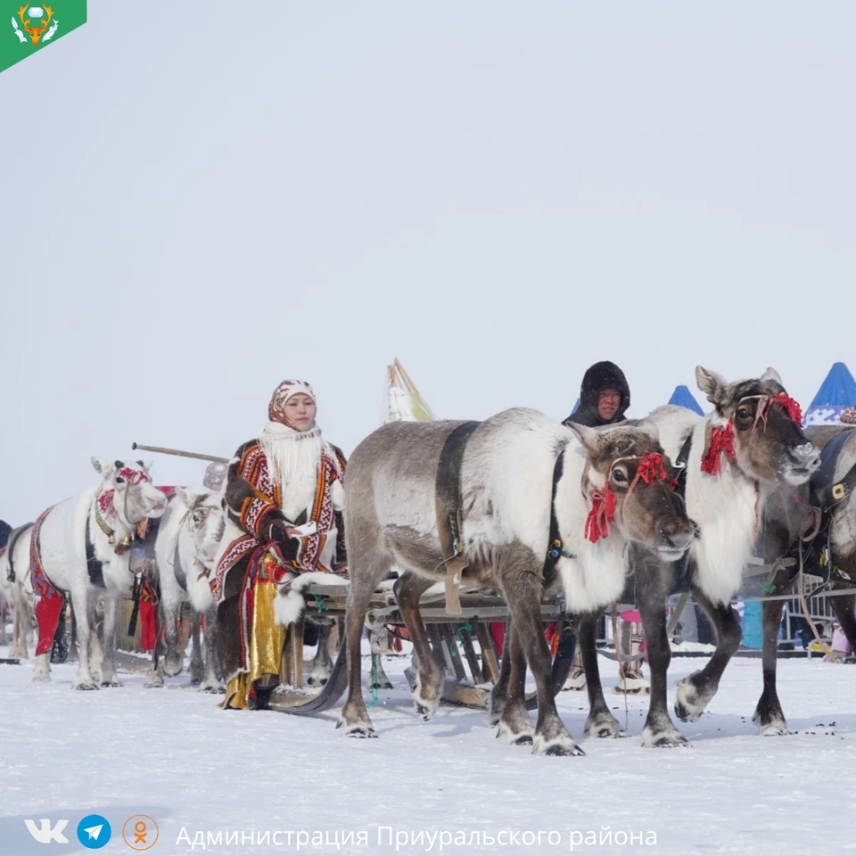 Фото: администрация Приуральского района