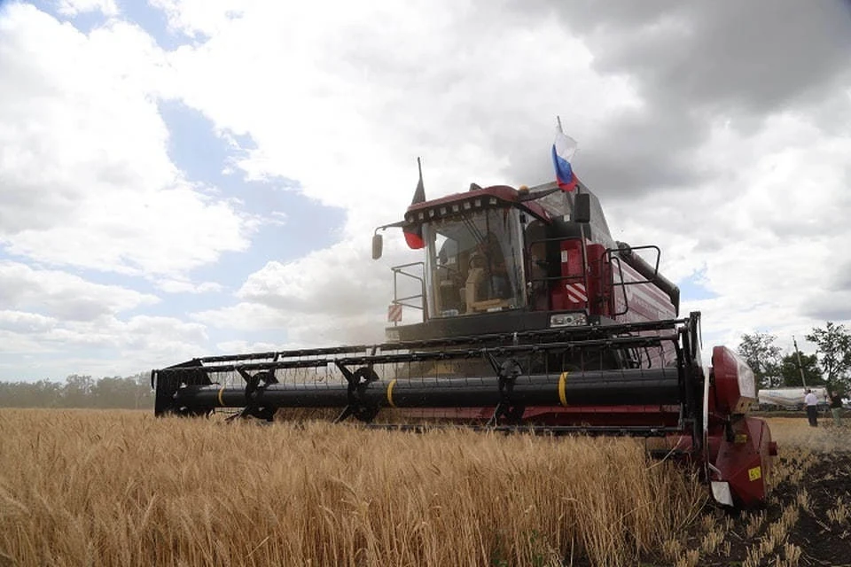 Растениеводческая отрасль ДНР сохраняет устойчивость вопреки погодным колебаниям