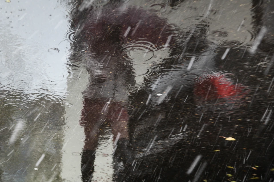 В Хабаровском крае 30 октября ожидается мокрый снег и гололедица